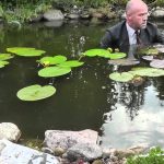 How to Plant Water Lilies in a Deep Pond