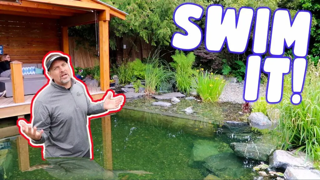 Is It Safe to Swim in a Pond