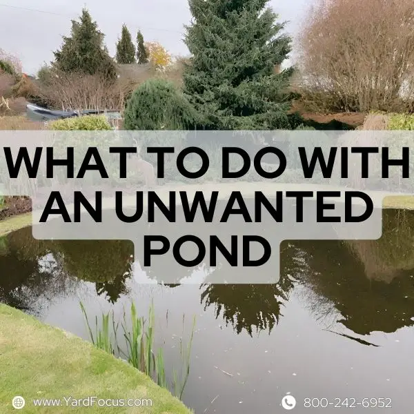 What to Do With the Unwanted Pond