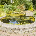 How to Build a Retaining Wall around a Pond: Easy DIY Guide