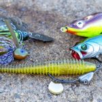Best Bass Baits for Ponds