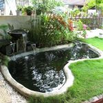 Best Koi Pond Filters