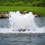 Best Pond Aerators