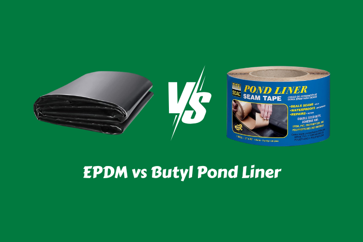 EPDM vs Butyl Pond Liner