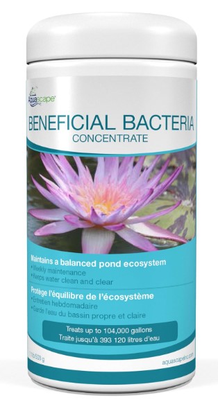 5 Best Beneficial Bacteria for Koi Ponds to Keep Water Crystal Clear