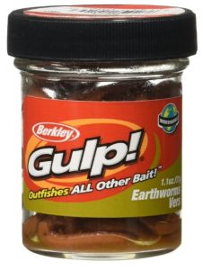Berkley Gulp! Earthworm