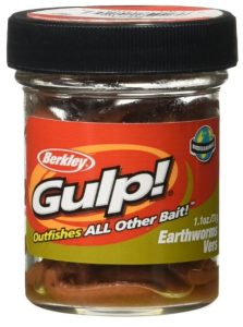 Berkley Gulp! Earthworm for Trout