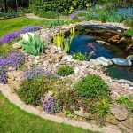 Best Beneficial Bacteria for Koi Ponds