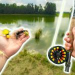 Best Flies for Bass in Ponds