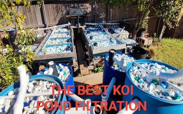 Best Koi Pond Filtration System Setup