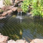 Best Koi Pond Protections