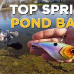 Best Lures for Pond Bass in Spring