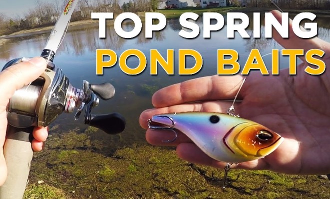 Best Lures for Pond Bass in Spring