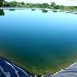 Best Material for Pond Liner