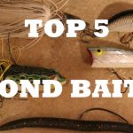Best Pond Baits