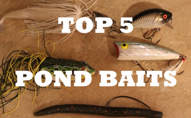 Best Pond Baits