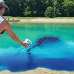Best Pond Dyes