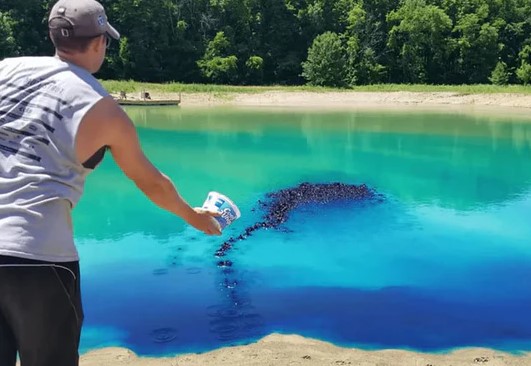 Best Pond Dyes