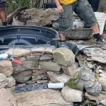 Best Pond Filter System