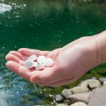 Best Pond Muck Removers