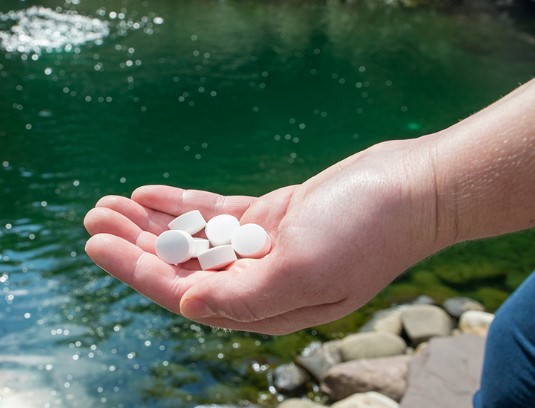 Best Pond Muck Removers