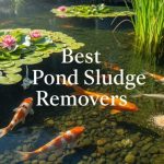 Best Pond Sludge Removers