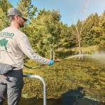 Best Pond Weed Killers