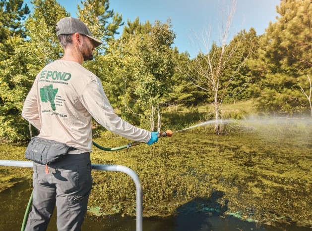 Best Pond Weed Killers
