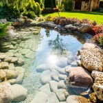 Best UV Lights for Koi Ponds