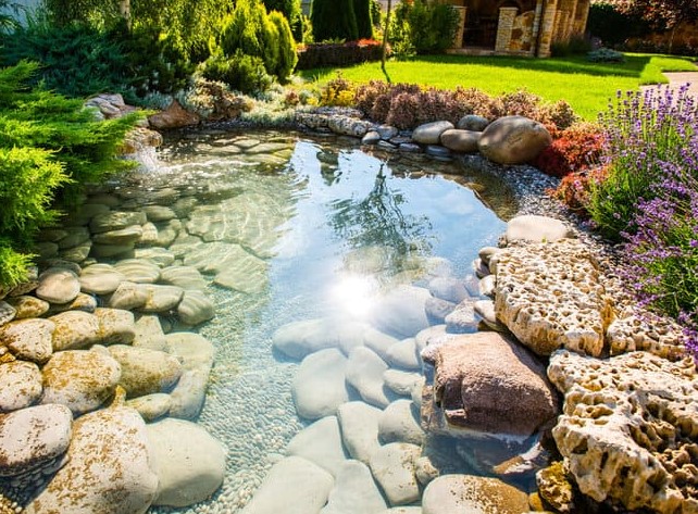 Best UV Lights for Koi Ponds