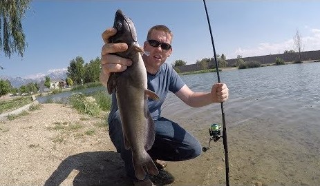 Best Way to Catch Catfish In a Pond