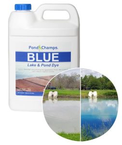 Pond Champs Blue Lake & Pond Dye
