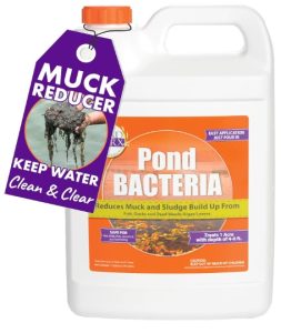 PondWorx Pond Bacteria