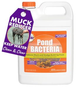 PondWorx Pond Bacteria for Large Pond
