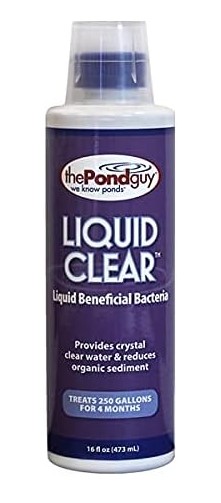 5 Best Beneficial Bacteria for Koi Ponds to Keep Water Crystal Clear