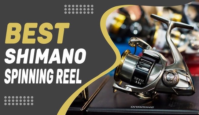Beat Shimano Spinning Reels