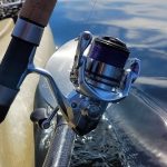 Best 1000 Size Spinning Reels