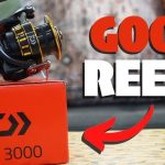 Best 3000 Spinning Reels