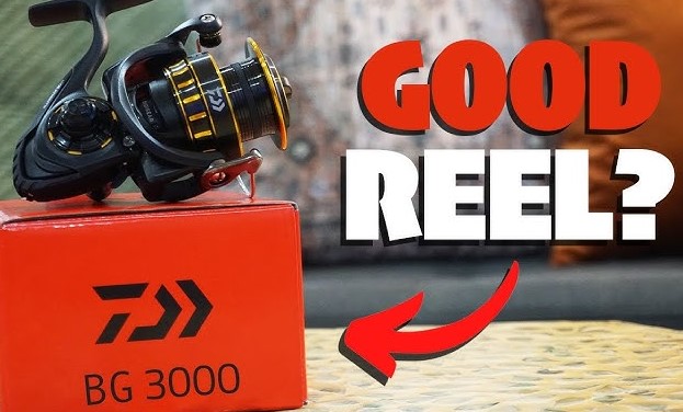 Best 3000 Spinning Reels