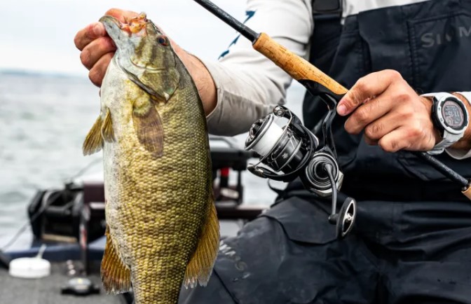Best Bass Fishing Spinning Reels