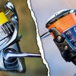 Best Braided Fishing Lines for Spinning Reels