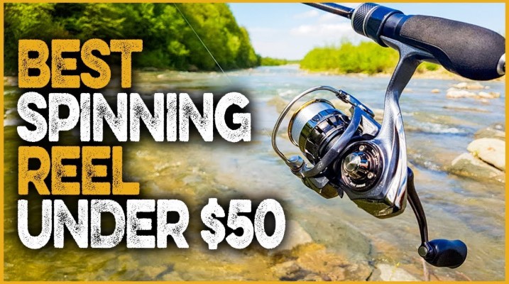 Best Budget Spinning Reel Under $50