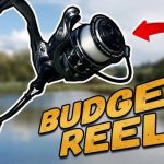 Best Budget Spinning Reels