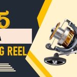 Best Daiwa Spinning Reels