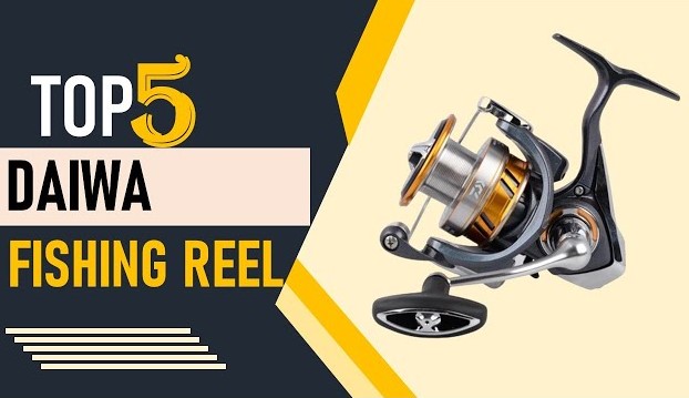 Best Daiwa Spinning Reels