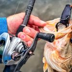 Best Fishing Lines for Spinning Reels in Freshwater