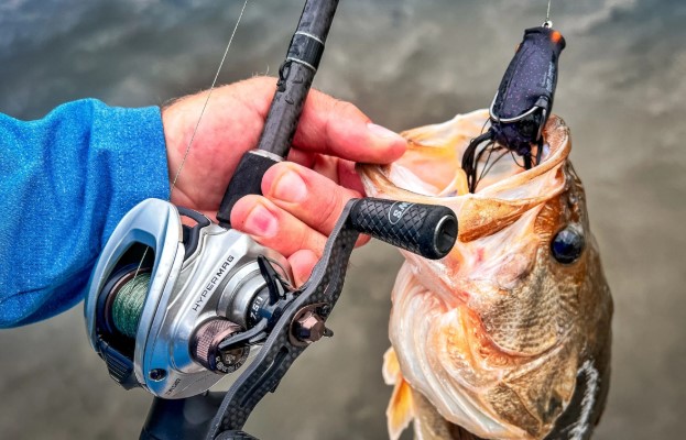 Best Fishing Lines for Spinning Reels in Freshwater