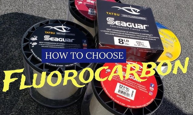 Best Fluorocarbon Lines for Spinning Reels