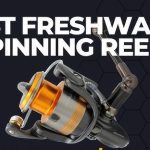 Best Freshwater Spinning Reels