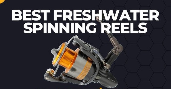 Best Freshwater Spinning Reels